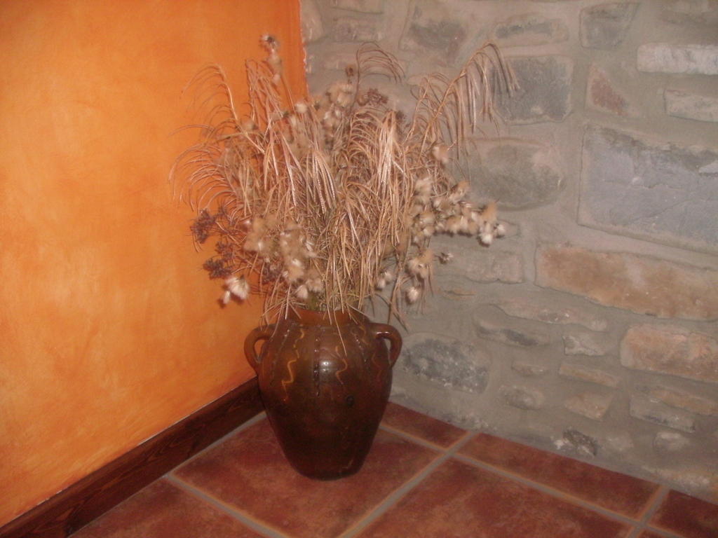 La Corralata Lägenhet Biescas  Rum bild
